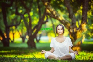 发展联盟赛场屡创佳绩，掘金后场新星静待召唤